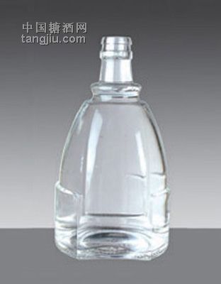 G-013 500ml