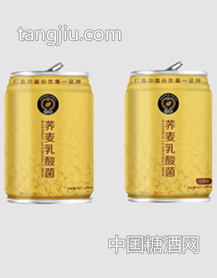 西夏褐金 蕎麥乳酸菌聽裝248ml無(wú)糖型