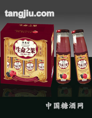 津思味樹(shù)莓飲料玻璃瓶260ml短標(biāo)