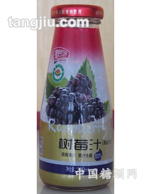 津思味黑莓玻璃瓶200ml