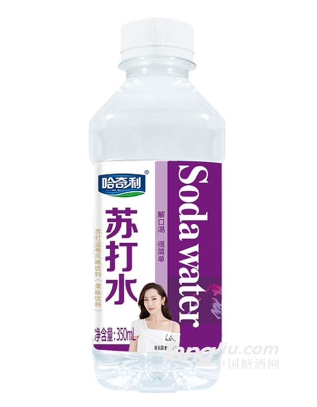 哈奇利蘇打水藍(lán)莓味350ml